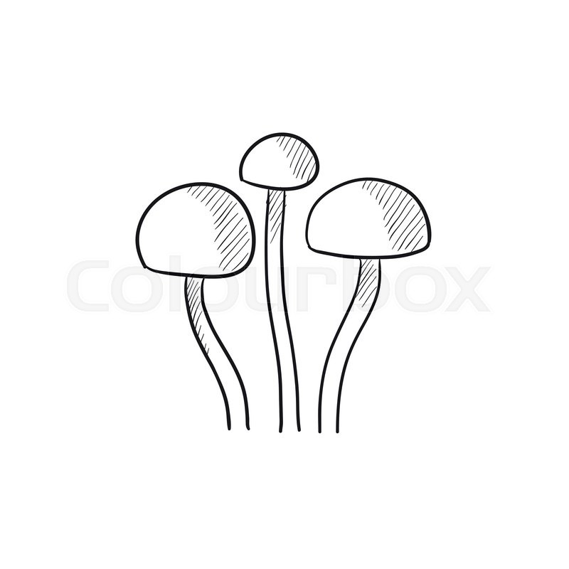 800x800 Mushroom Vector Sketch Icon Isolated On Background. Hand Drawn - Mushroom Sketch