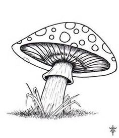 236x275 Mushrooms By Nerissa The On @ - Mushroom Sketch