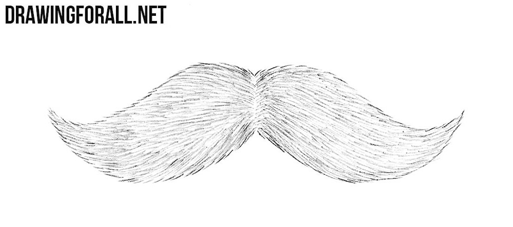 1000x444 Mustache Drawing, Pencil, Sketch, Colorful, Realistic Art Images - Mustache Sketch
