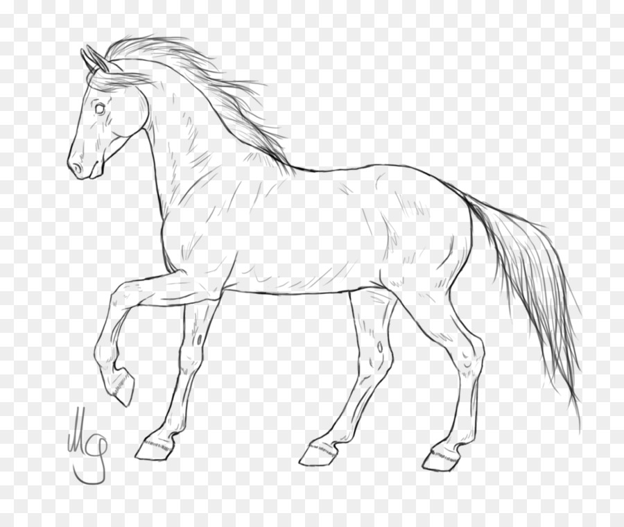 900x760 Mustang Horses Pony Line Art American Quarter Horse - Mustang Horse Sketch