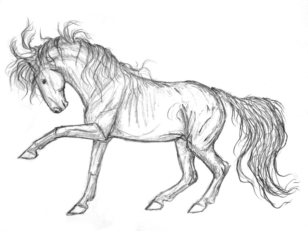 Mustang Horse Sketch at PaintingValley.com | Explore collection of ...