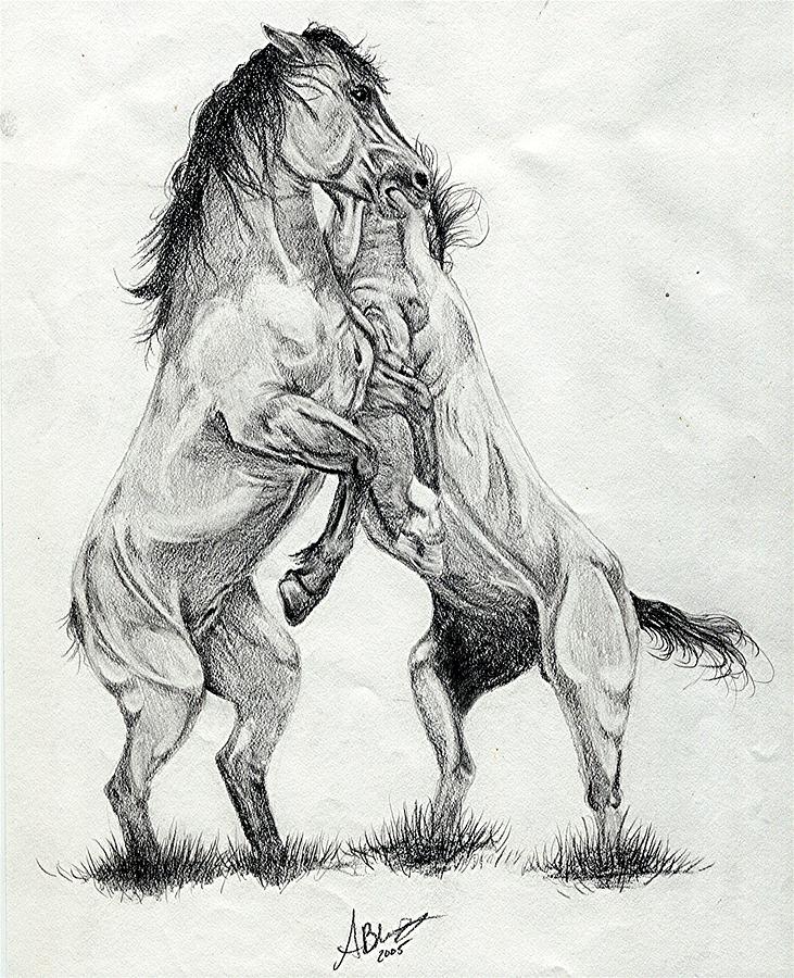 731x900 Mustang Stallions Wild Horses Drawing By Olde Time Mercantile - Mustang Horse Sketch