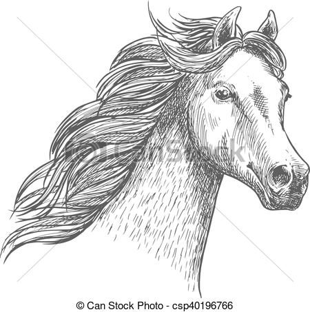 450x453 White Graceful Horse Sketch Portrait. Wild Mustang With Mane - Mustang Horse Sketch