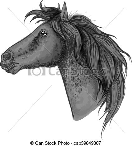 425x470 Black Horse Head Sketch Portrait. Black Proud Horse Stallion - Mustang Horse Sketch