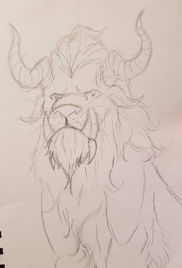 694x1024 Lionsmythical Lions Sketches + Completed Drawings Art Amino - Mythical Sketches