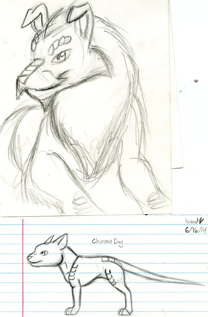 724x1104 More Mythical Dog Sketches By Rexander134 - Mythical Sketches