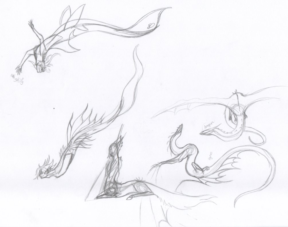 1005x795 Mythical Creature Sketches By Mistofthedawn - Mythical Sketches