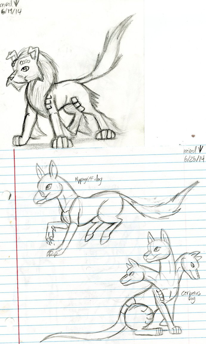 691x1157 Mythical Dog Sketches By Rexander134 - Mythical Sketches