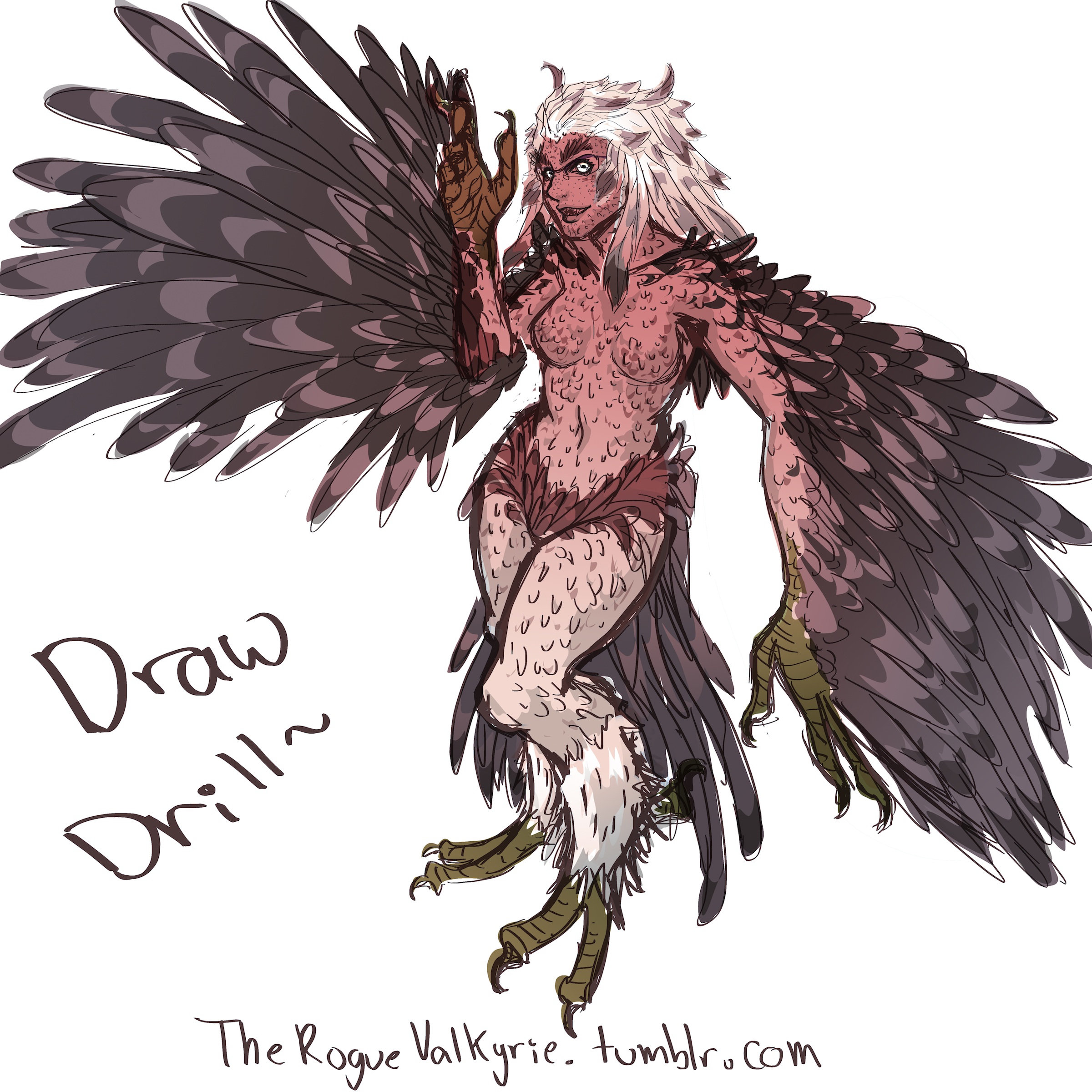 2400x2400 Draw Drill Sketch Rogue Valkyrie Art - Mythical Sketches