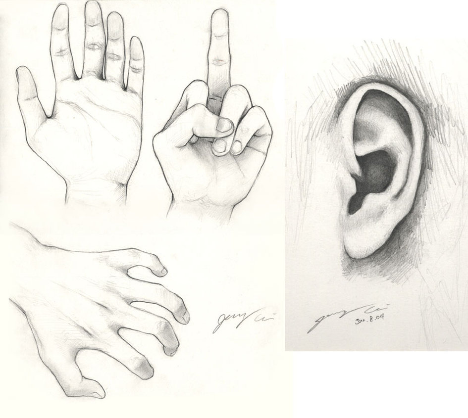 945x845 Pencil Sketching - N Sketch