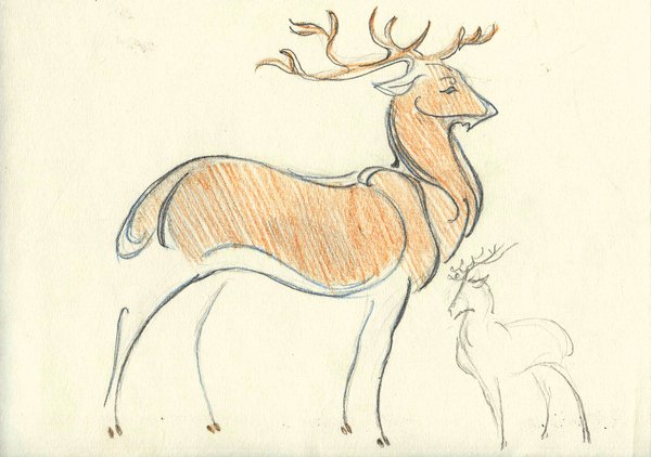 600x422 Deer Sketch By Unita N - N Sketch