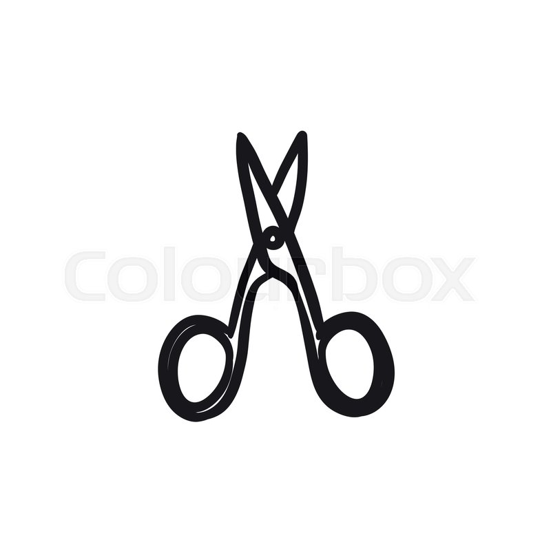 800x800 Nail Scissors Vector Sketch Icon Isolated On Background. Hand - Nail Sketch