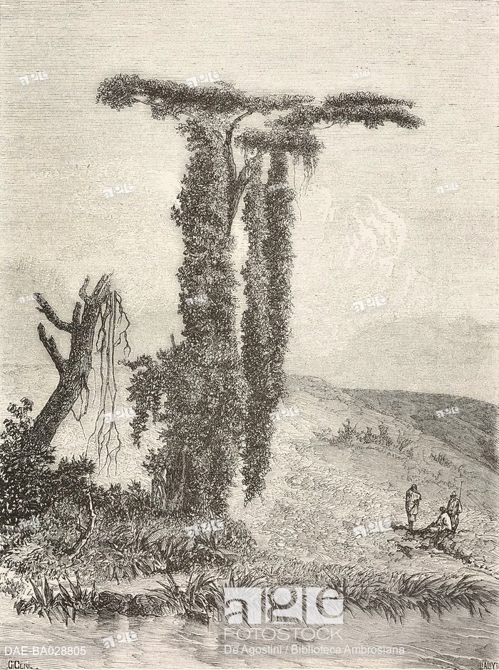 700x940 Lisara, Ethiopia, Drawing By Eugene Ciceri (1813 1890) After A - Narrative Sketch