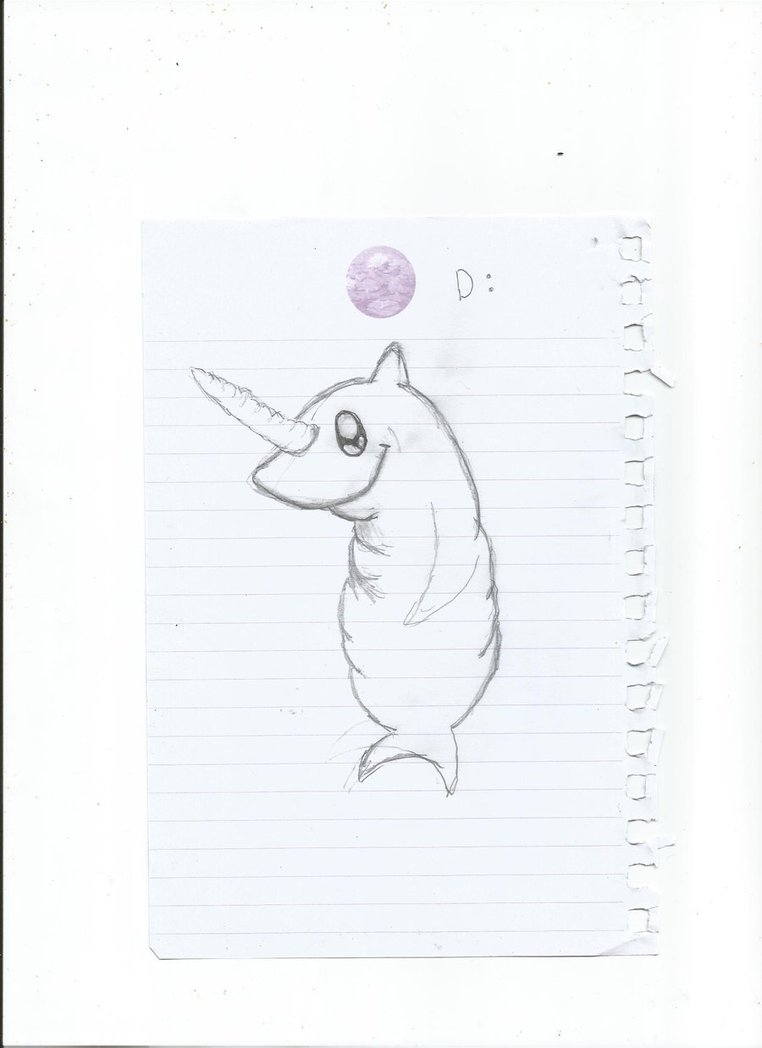 762x1048 Narwhal Sketch I By Neverletgojustdont - Narwhal Sketch