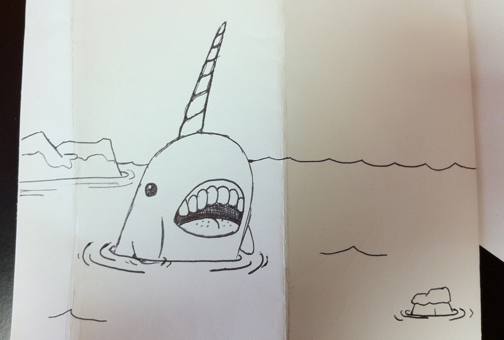1024x691 Narwhal Sketch Alex Lockwood - Narwhal Sketch