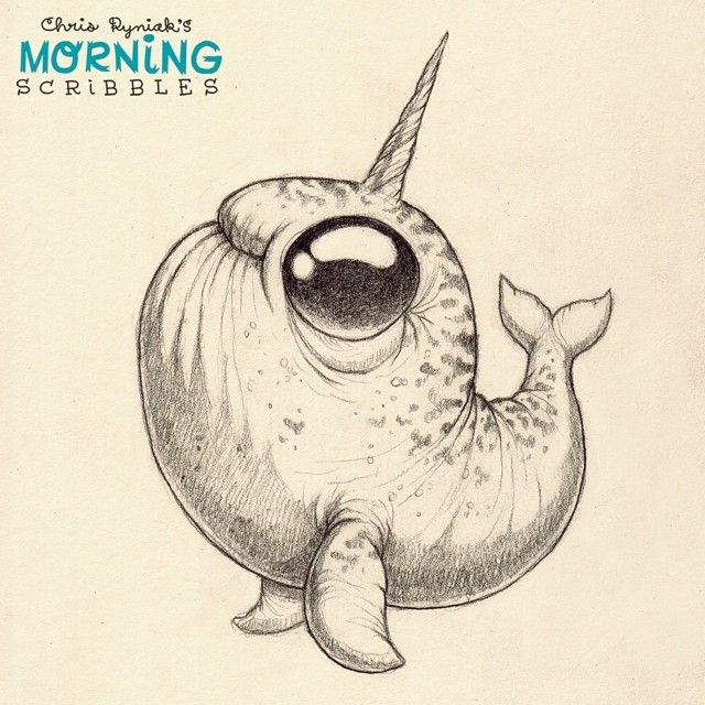 640x640 By Special Request From My Girlfriend, A Narwhal - Narwhal Sketch