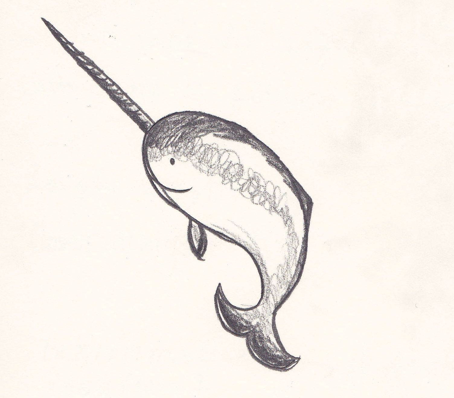 1504x1320 Narwhal - Narwhal Sketch