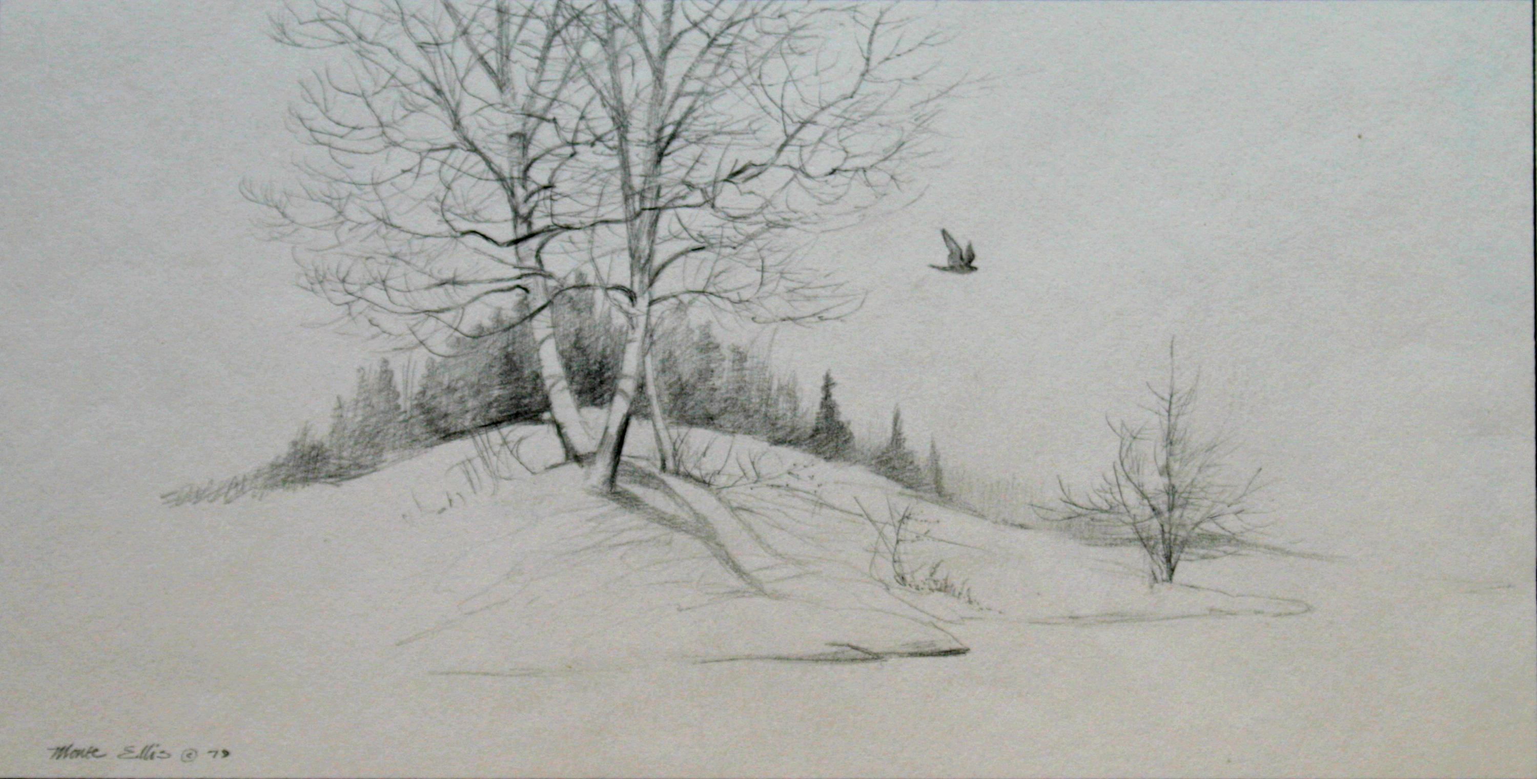 2999x1520 Pencil Drawings Nature Pencil Drawings - Natural Scene Sketch