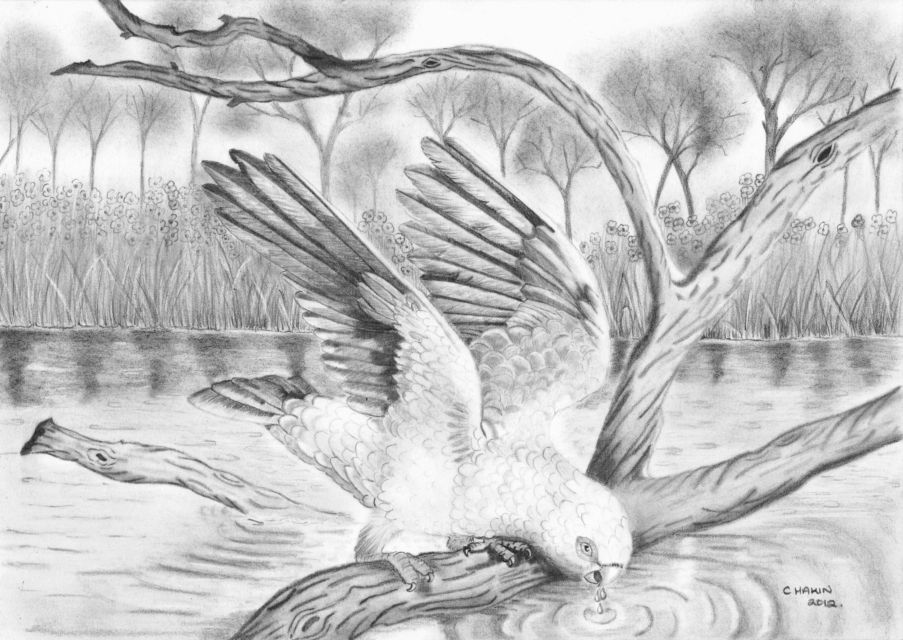 Featured image of post Scenery Simple Easy Nature Pencil Drawing / Learn draw traditional &amp; digital.