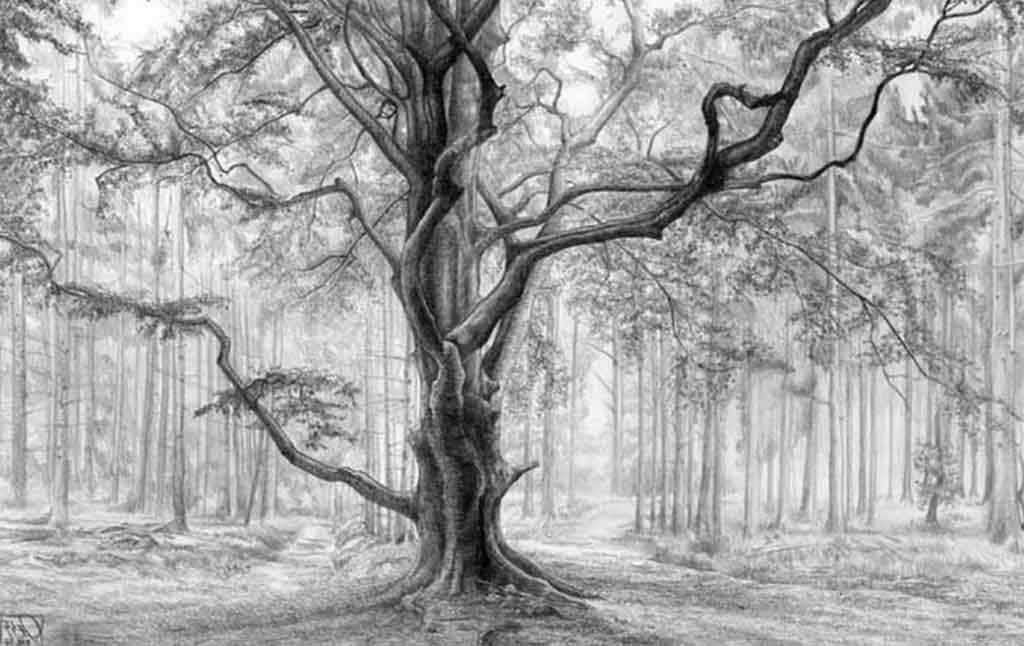 1024x646 Black And White Nature Sketches Nature Drawings 39 Magnificent - Nature Drawing Sketch