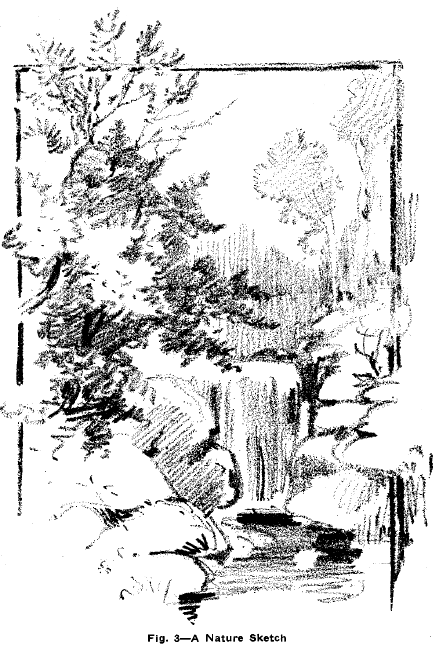 433x646 How To Draw From Nature With Easy To Follow Drawing Techniques - Nature Drawing Sketch