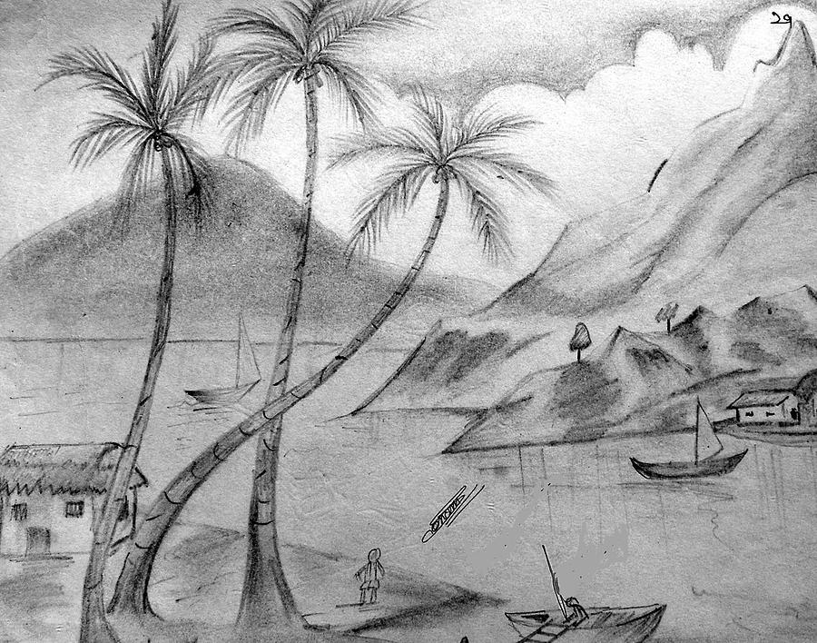 900x708 Pencil Drawings Nature Pencil Drawings - Nature Drawing Sketch