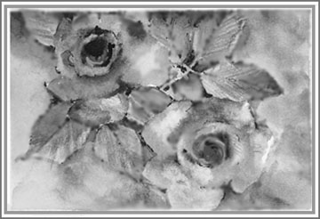 360x246 Nature Sketches - Nature Images Sketch