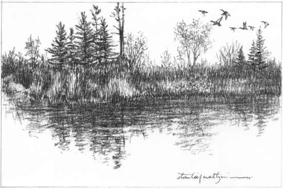 550x368 Simple Nature Sketches - Nature Images Sketch