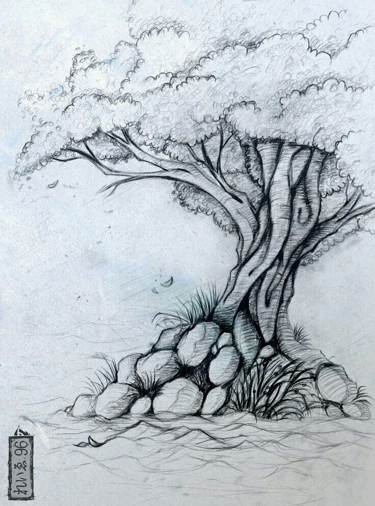 736x993 Drawn Nature Sketch - Nature Images Sketch