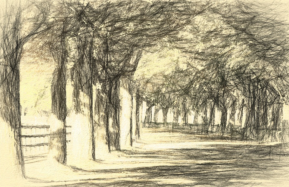 960x622 Free Photo Road Nature Sketch Tree Avenue Street Landscape - Nature Images Sketch