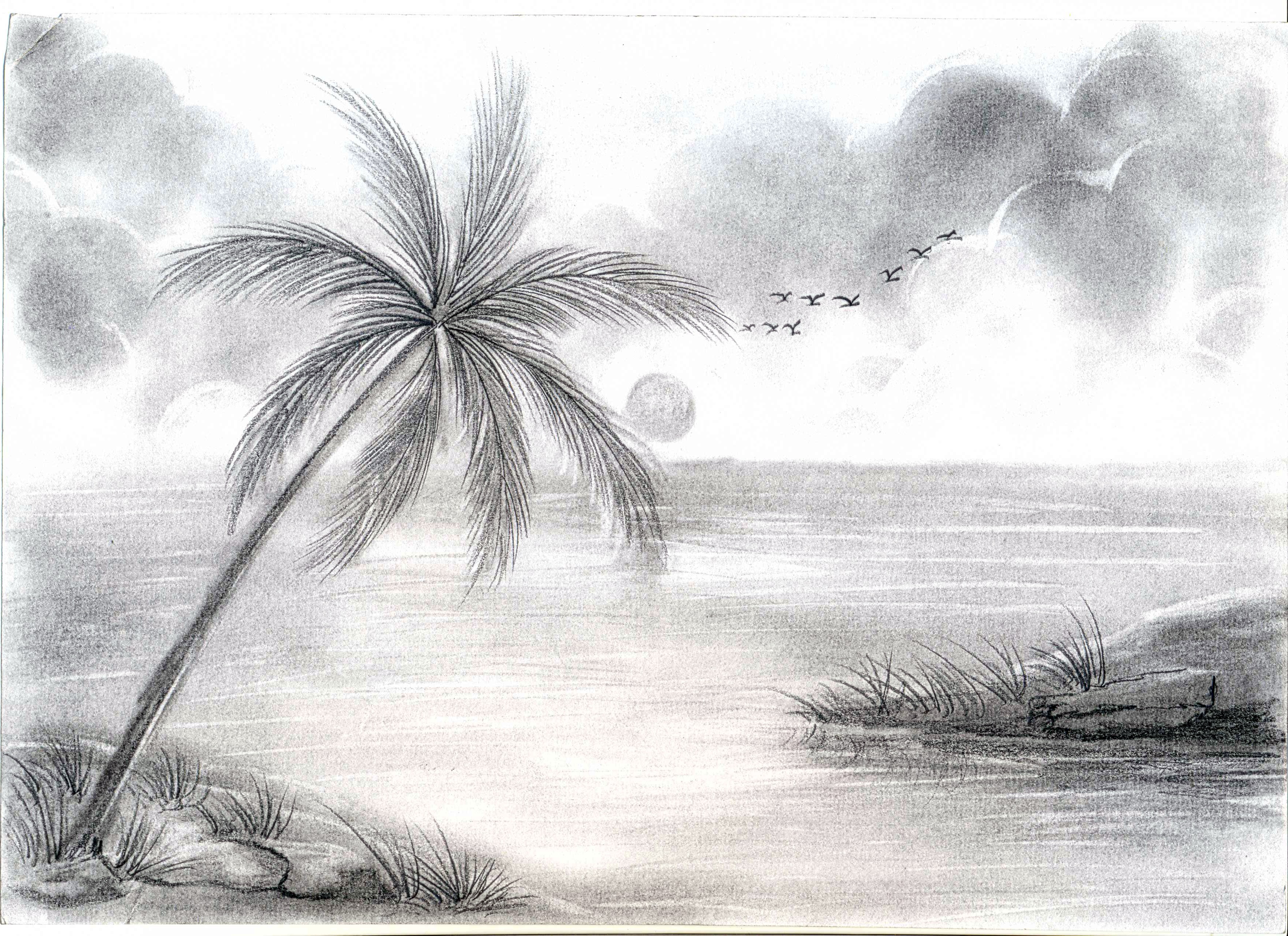 Nature Sketch Pictures at Explore collection of