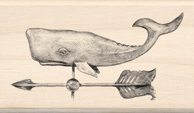 782x456 Inkadinkado - Nautical Sketches