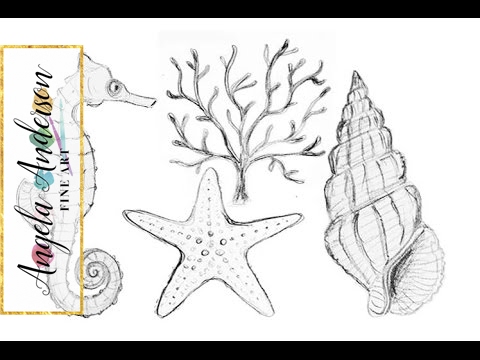 480x360 Nautical Sea Life Drawings How To Draw Starfish Coral Seahorse - Nautical Sketches