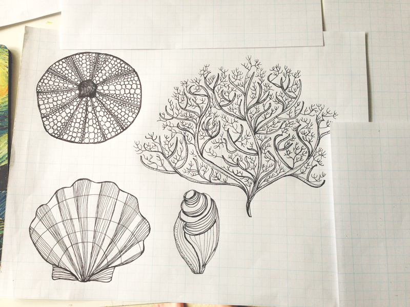 800x600 All Things Nautical Sunny Spot Studio - Nautical Sketches