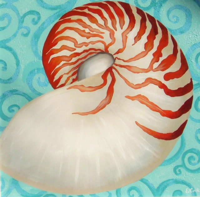 640x632 Nautilus Shell Painting - Nautilus Shell Sketch