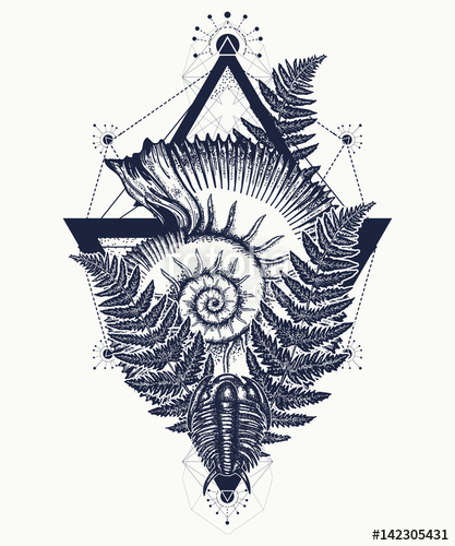 417x500 Nautilus Shell Prehistoric Tattoo Art. Ancient Ammonite In The - Nautilus Shell Sketch