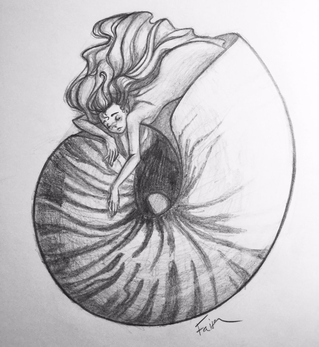 1103x1200 Faith Newman On Twitter Mermay Day 19 Sea Creature Fish - Nautilus Sketch