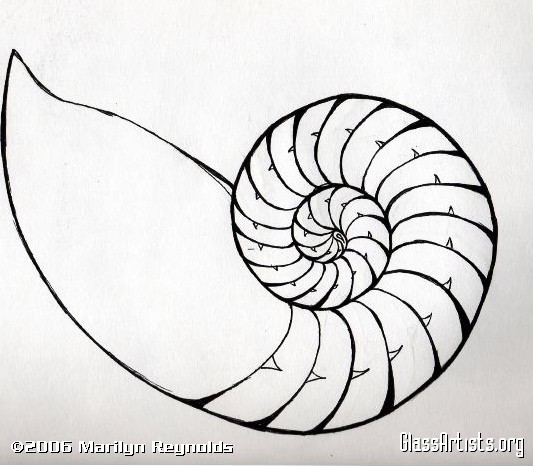 533x466 Nautilus Shell Original - Nautilus Sketch