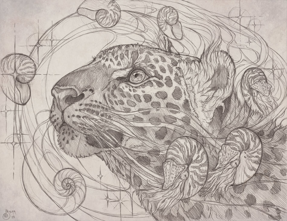 950x732 Nautilus Sky By Balaa - Nautilus Sketch