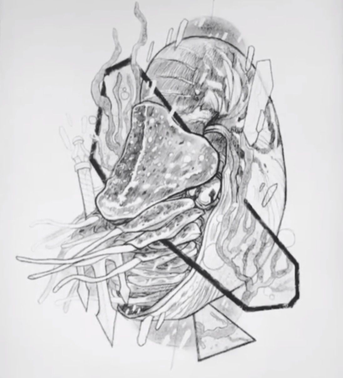 1096x1209 Nautilus Sketch Tattoo Nautilus And Tattoo - Nautilus Sketch