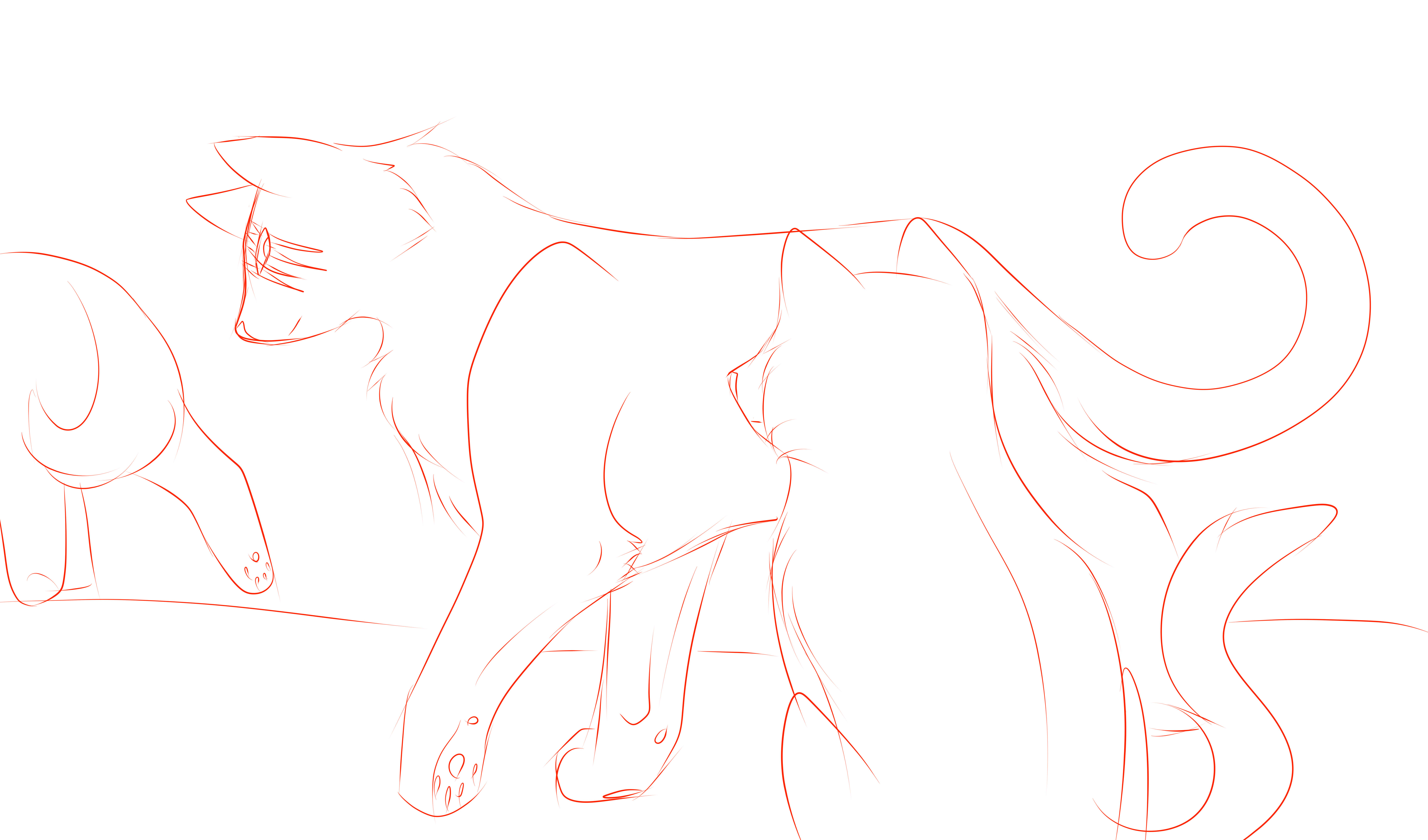 6800x4000 Neat Sketch Example By Silver Moonwolf - Neat Sketch