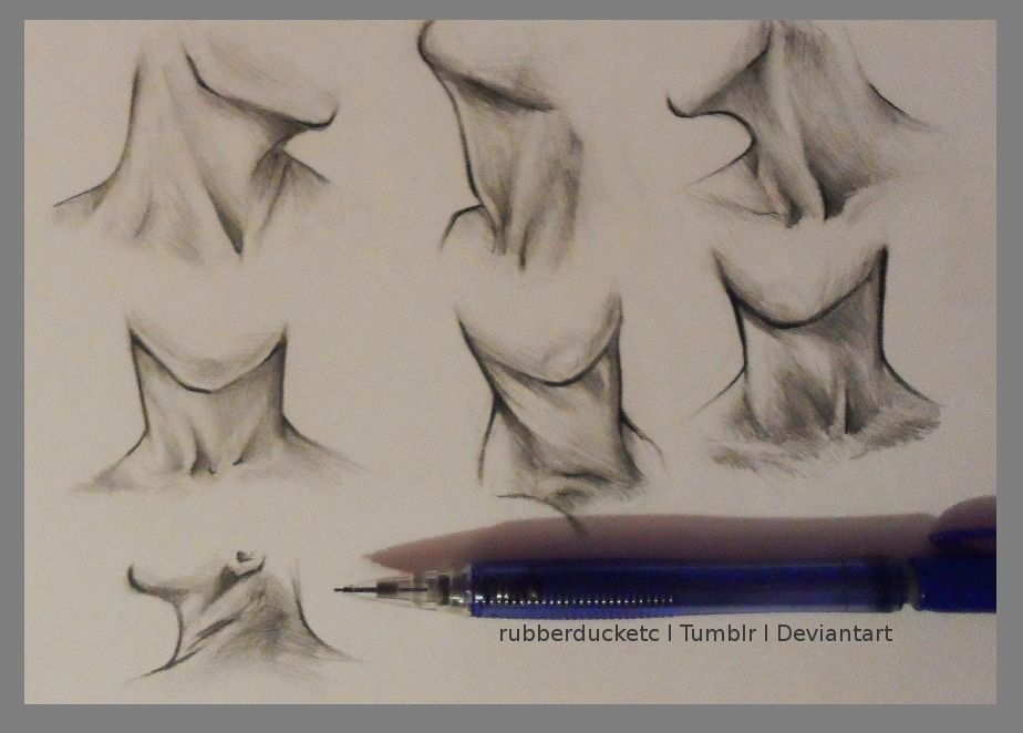 924x662 Mans Neck Drawing (Official Board) - Neck Sketch