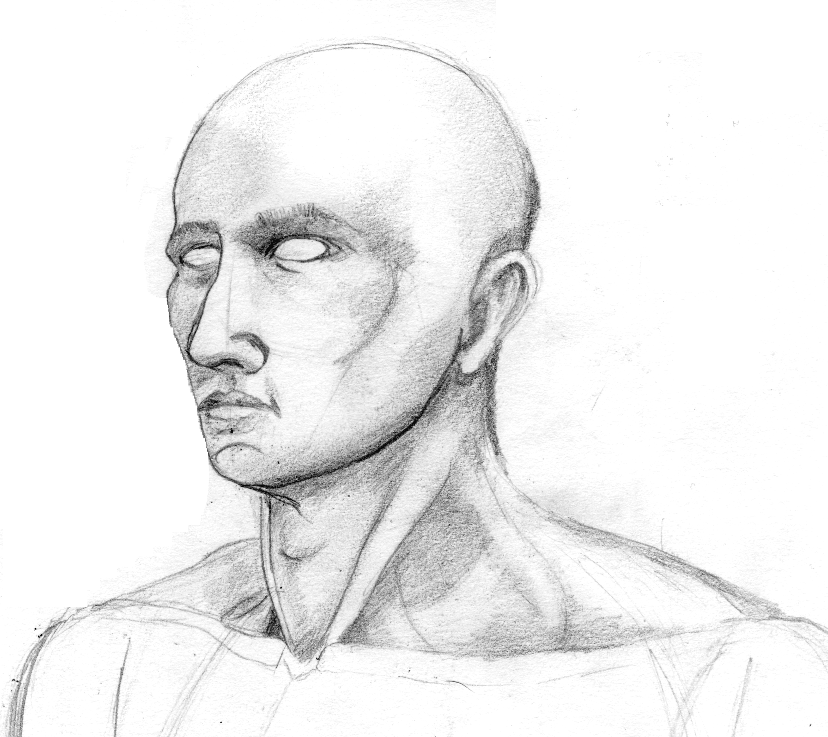 2893x2577 Neck Muscles Rachel Carter - Neck Sketch