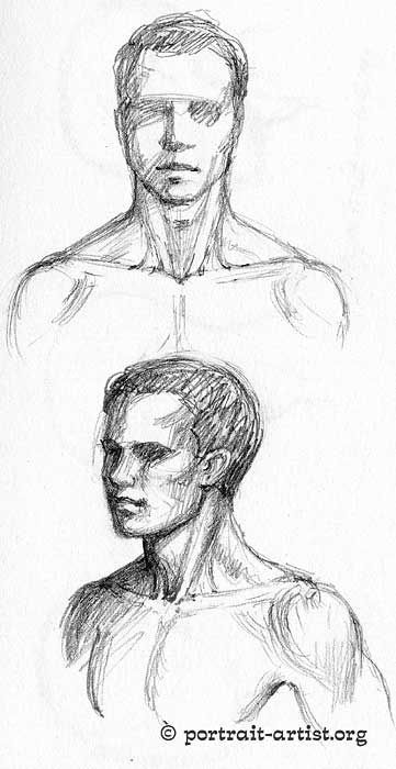 361x700 Anatomy Neck Plain.jpg Drawing - Neck Sketch