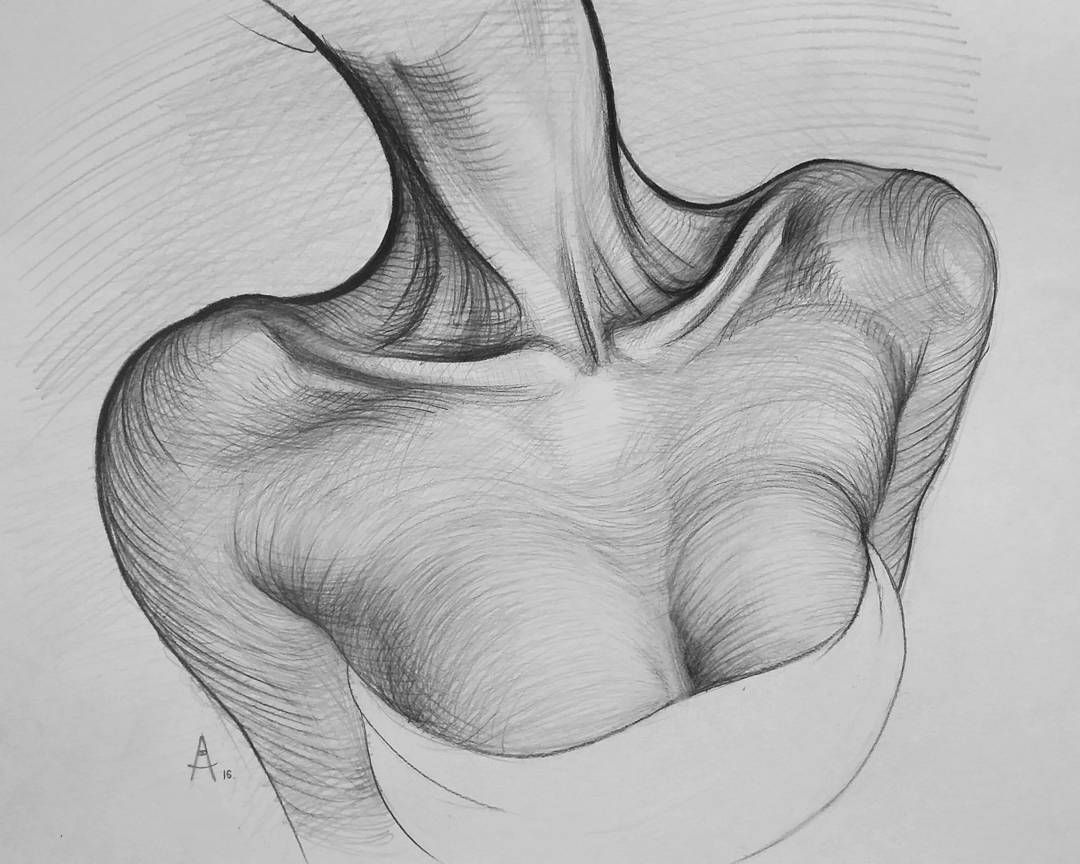 1080x864 4,497 Mal, 45 Kommentare - Neck Sketch