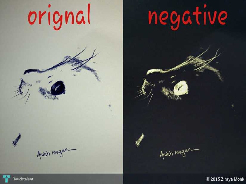 Negative Sketch