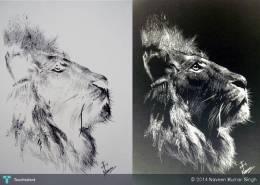 260x185 Touchtalent - Negative Sketch