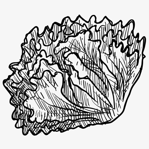 500x500 Pencil Drawing,fruits And Vegetables,vegetables,sketch,black And - Negro Sketch