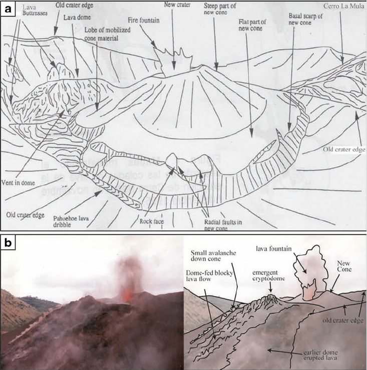 733x739 The 1995 Eruption - Negro Sketch