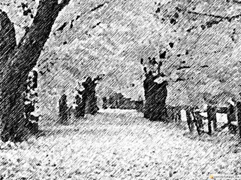 800x600 Black And White Sketch Of A Beautiful Autumn Landscape - Negro Sketch